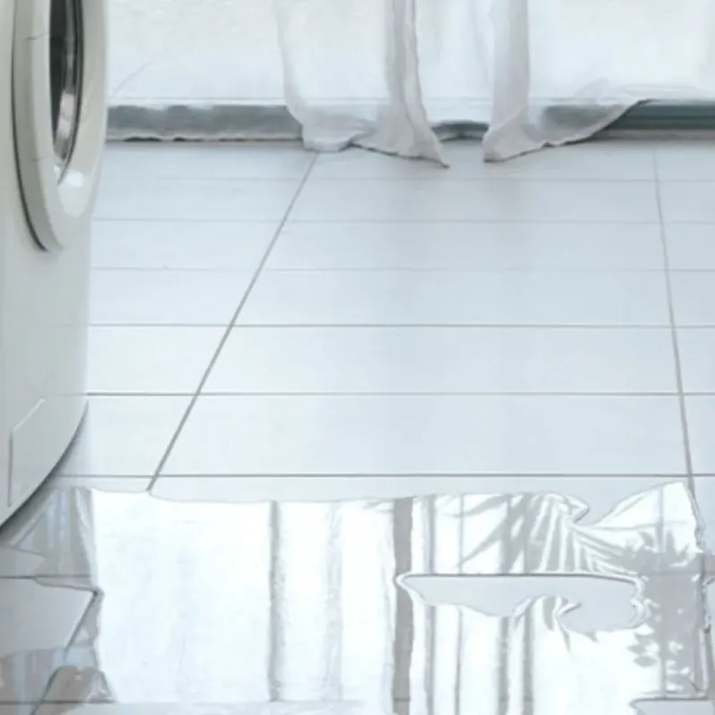 Appliance Leak Cleanup in Greene County, TN