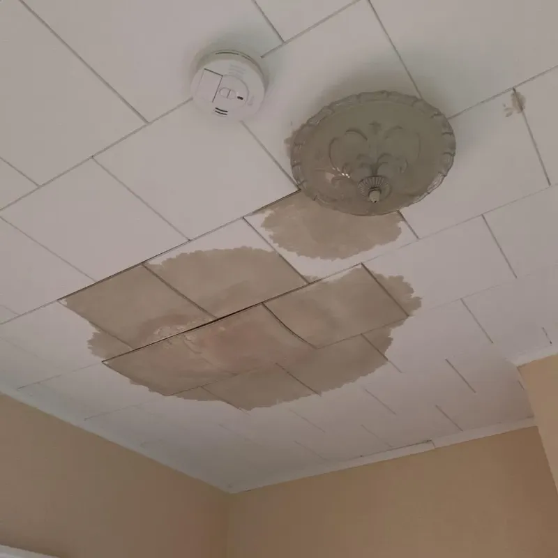 Ceiling Water Damage Repair in Greene County, TN