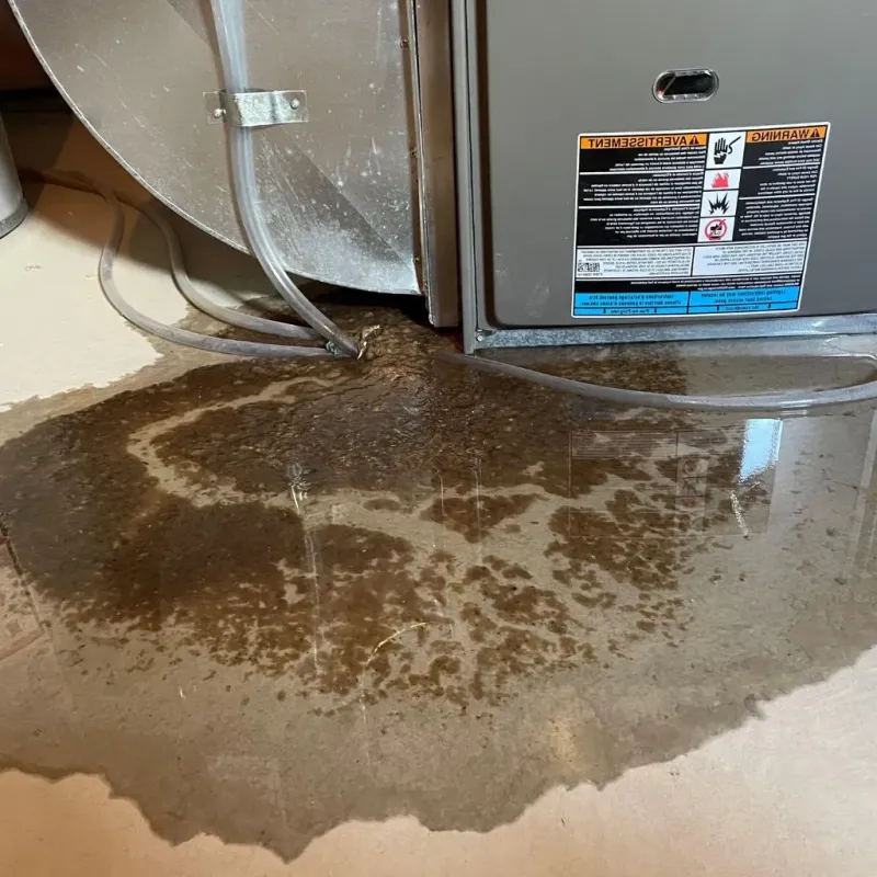 Pipe Burst and Leak Restoration in Greene County, TN