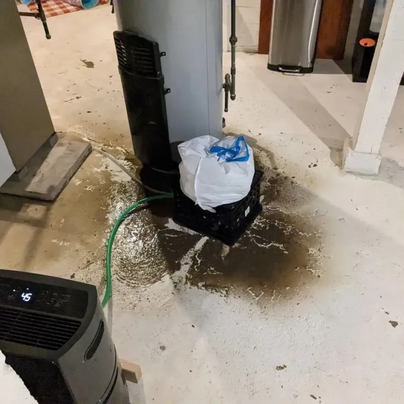 Sewage Backup Cleanup Service in Greene County, TN